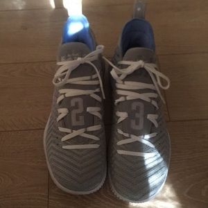LeBron James Nike Used 1x no box Lion🦁